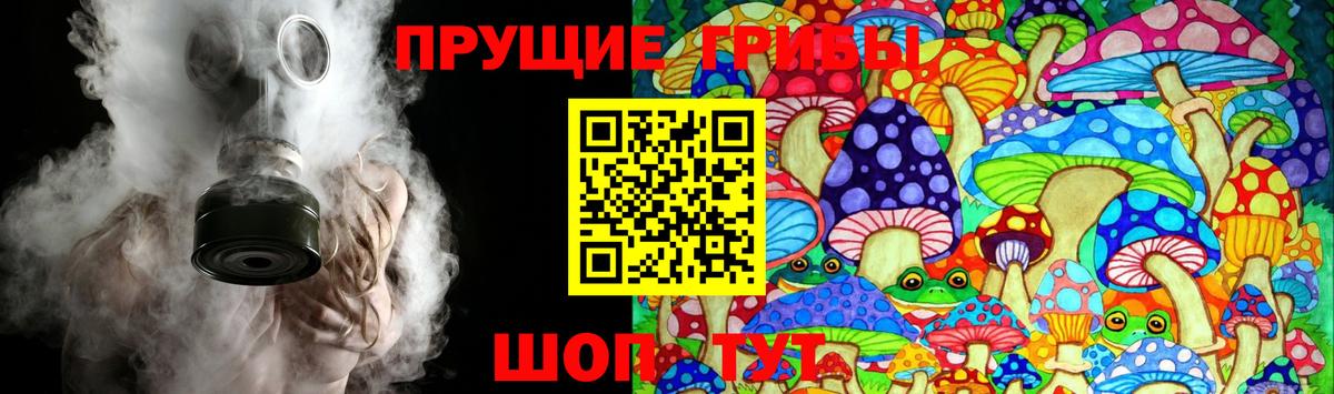 Галлюциногенные грибы Psilocybine cubensis  Вход с VPN  Наро-Фоминск  Галлюциногенные грибы мицелий 